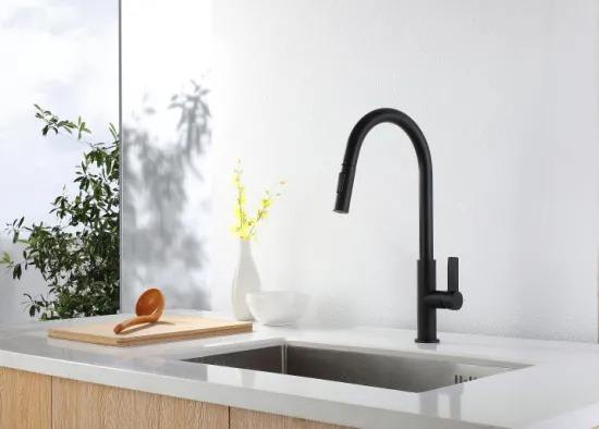 Matte Black Pull Out Kitchen Faucet