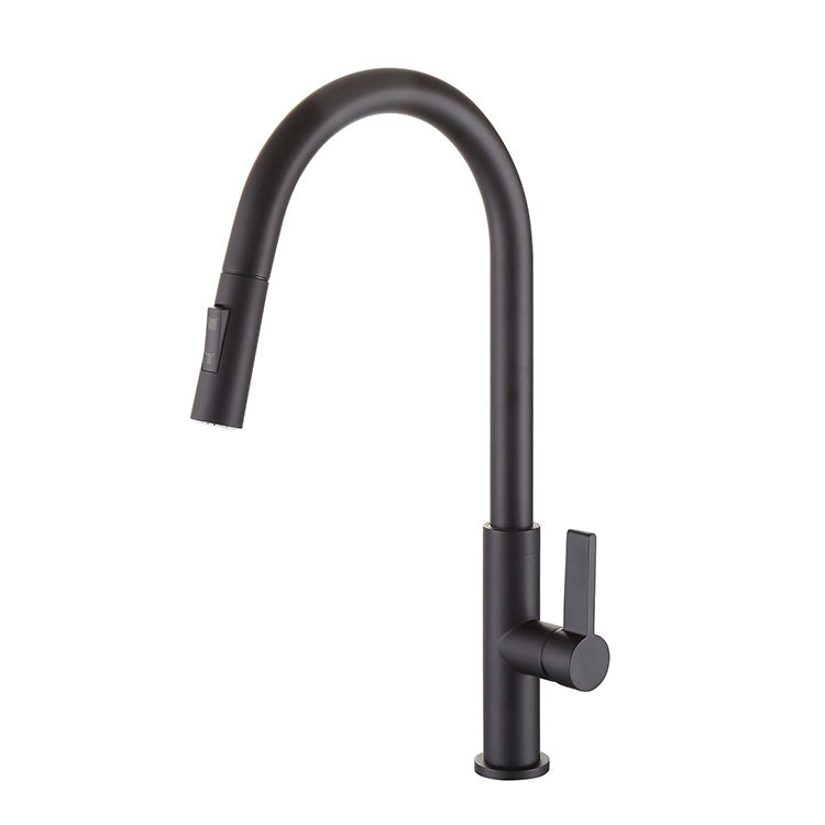 Matte Black Pull Out Kitchen Faucet