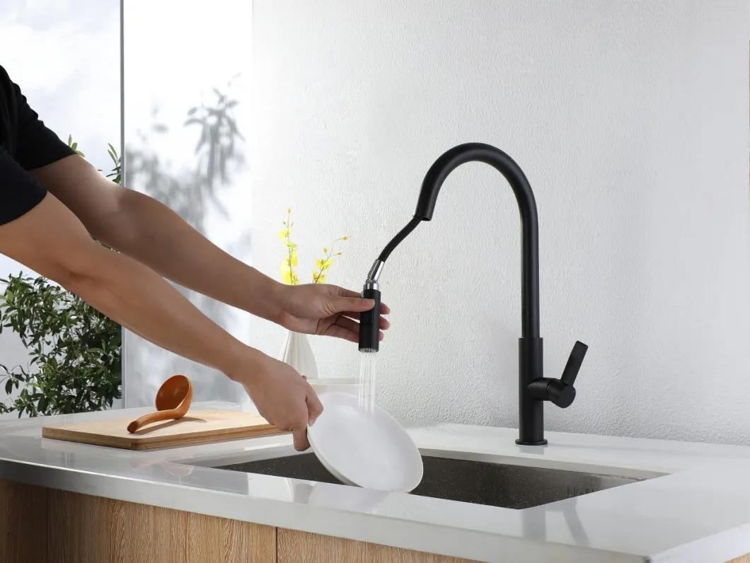 Matte Black Pull Out Kitchen Faucet